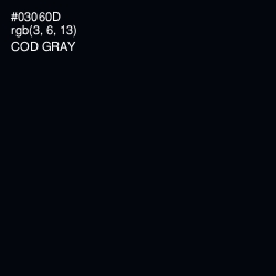 #03060D - Cod Gray Color Image